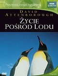 Życie pośród lodu - 2xDVD