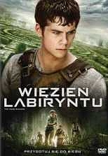 Więzień Labiryntu- DVD